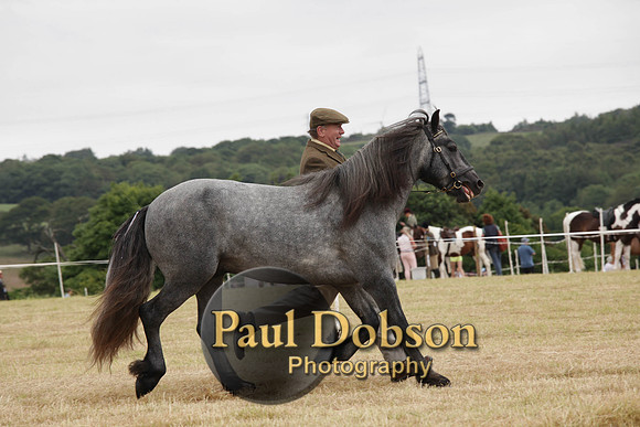 Lanchester-7923