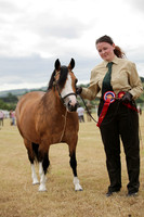 Lanchester-7583