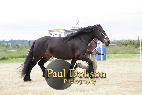 Lanchester-7926