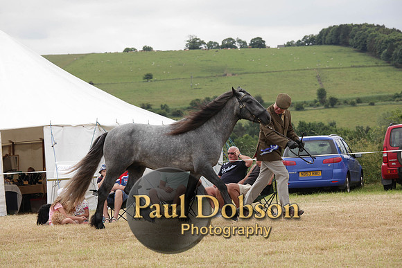 Lanchester-7912