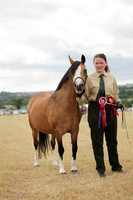 Lanchester-7595