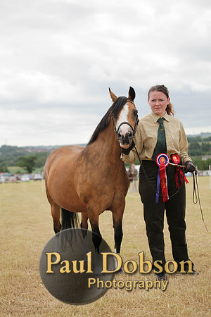 Lanchester-7595