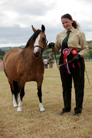 Lanchester-7585