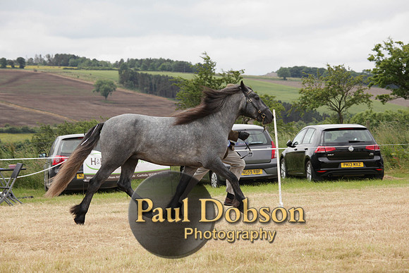 Lanchester-7913