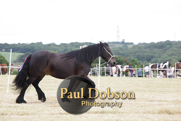 Lanchester-7933
