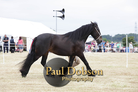 Lanchester-7929