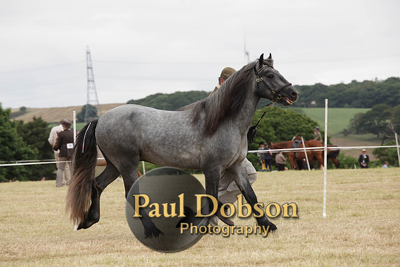 Lanchester-7922