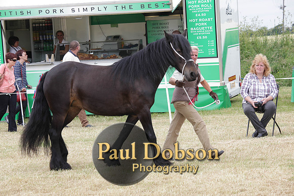 Lanchester-7905