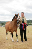 Lanchester-7594