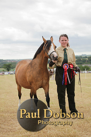 Lanchester-7594