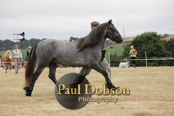 Lanchester-7920
