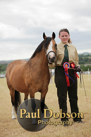 Lanchester-7598