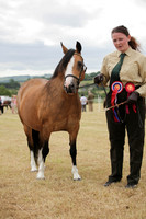 Lanchester-7584