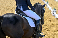 _0066956