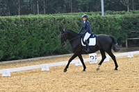 BD Petplan Summer Festival 2026