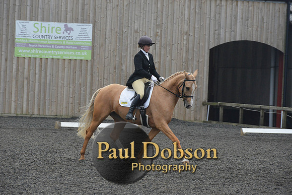 dressage-5764