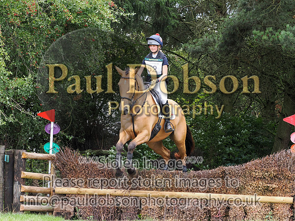 p8310016d-2