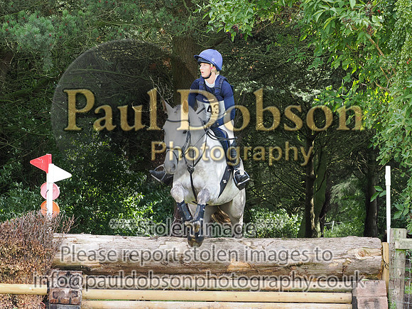 p2010006f