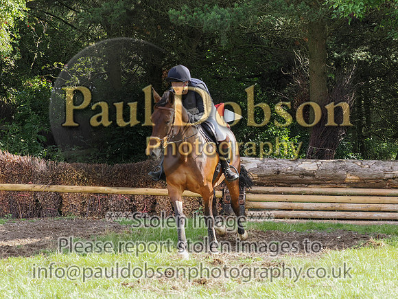 p2010070e