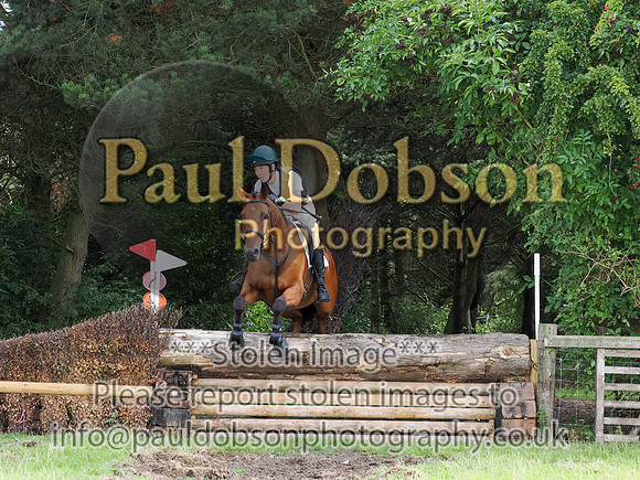 p2010081e