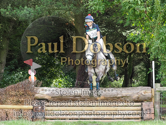 p2010099e
