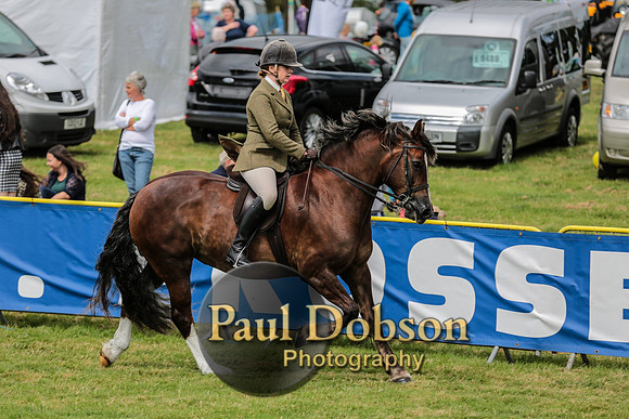 1 to 2 (27 of 83)