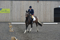 dressage-5698