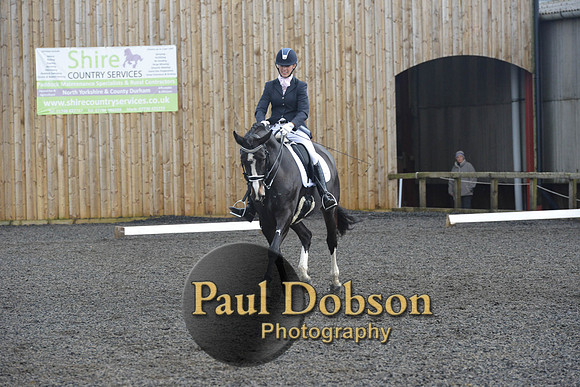 dressage-7261