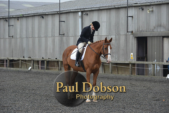 dressage-4531