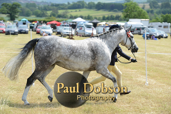 Lanchester-2106