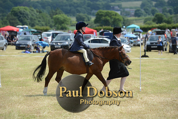 Lanchester-2118