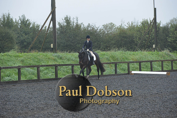 dressage-6597