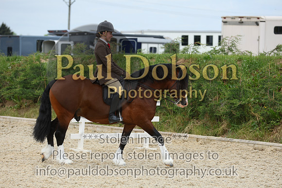 cl310102b