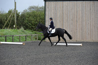 dressage-5894