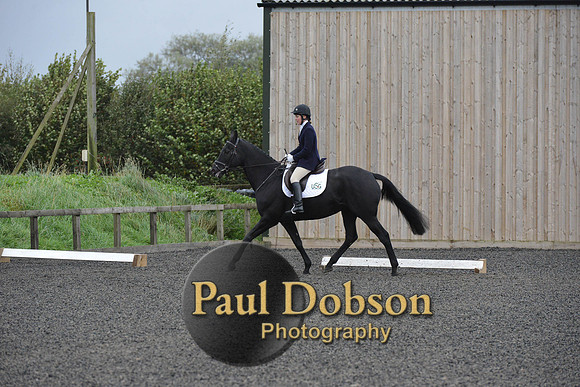 dressage-5894