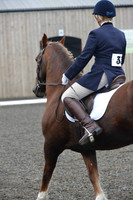 dressage-5432