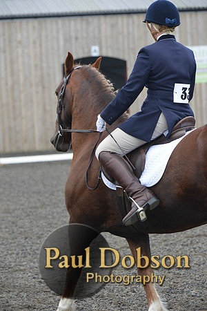 dressage-5432