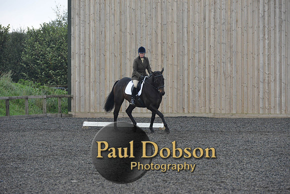 dressage-5195