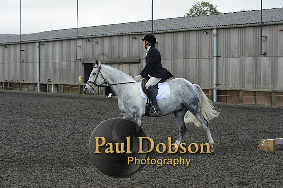 dressage-4548