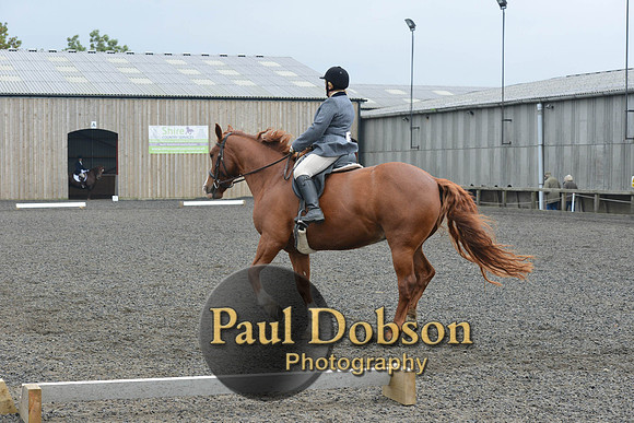 dressage-5420