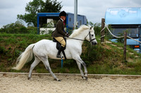 chm19378