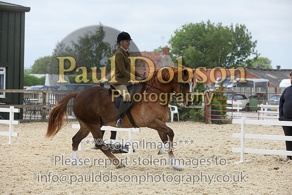 cl310147b