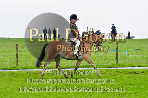 msh_8875b