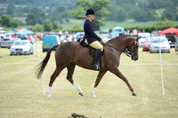 Class 119 part bred arab 148cm & under