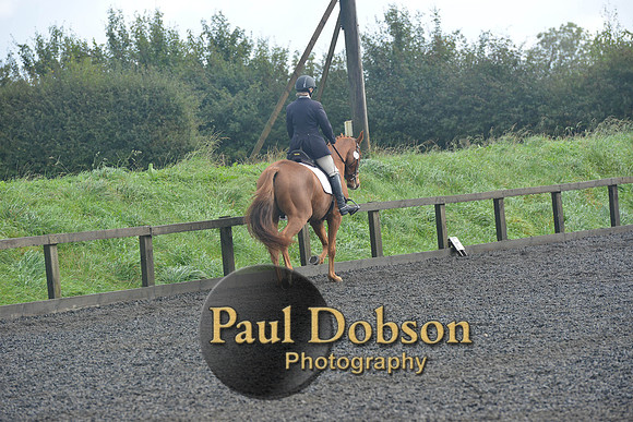 dressage-6782