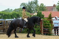 cl338306