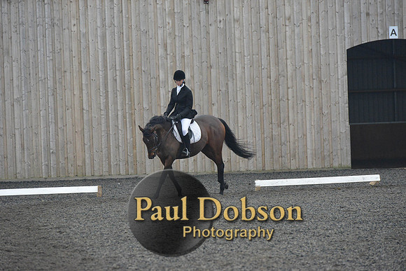 dressage-5866