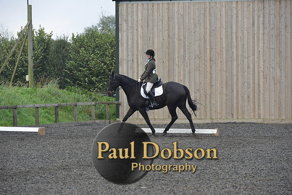 dressage-5207