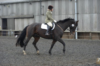 dressage-6283