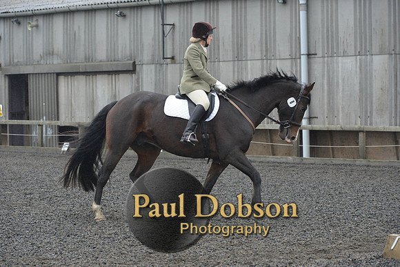 dressage-6283